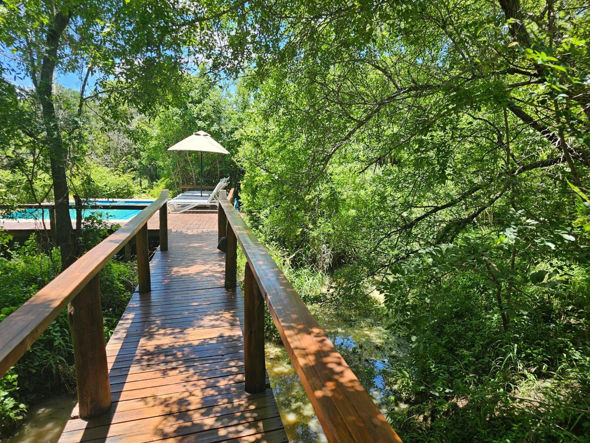 Kingfisher Creek Safari Lodge Hoedspruit Exterior photo
